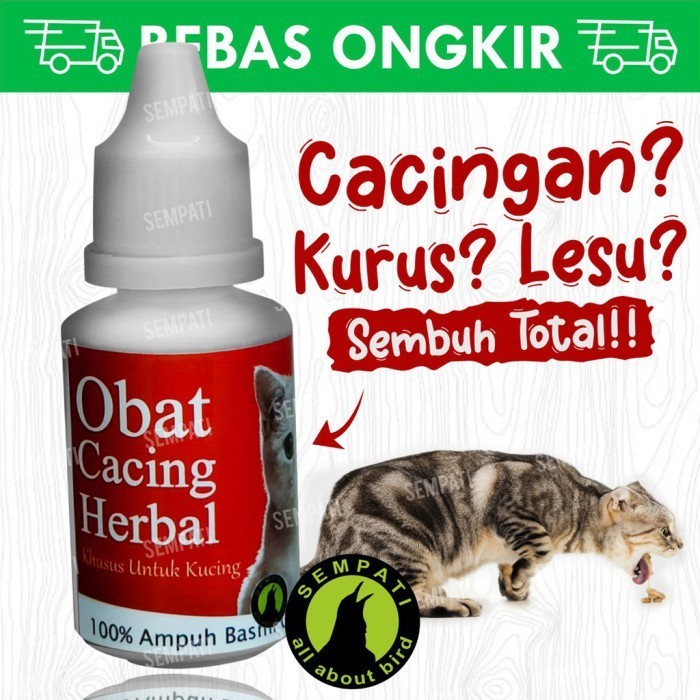 Obat cacing herbal obat kucing sakit cacingan kurus stop cat worm