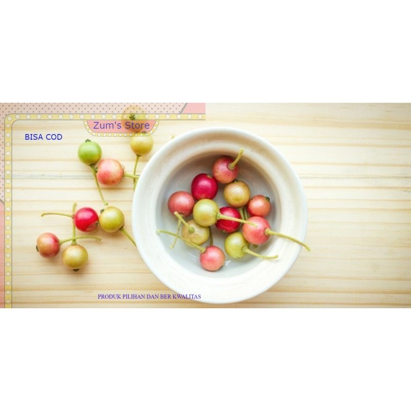 

Buah Kersen/buah ceri/buah kersem