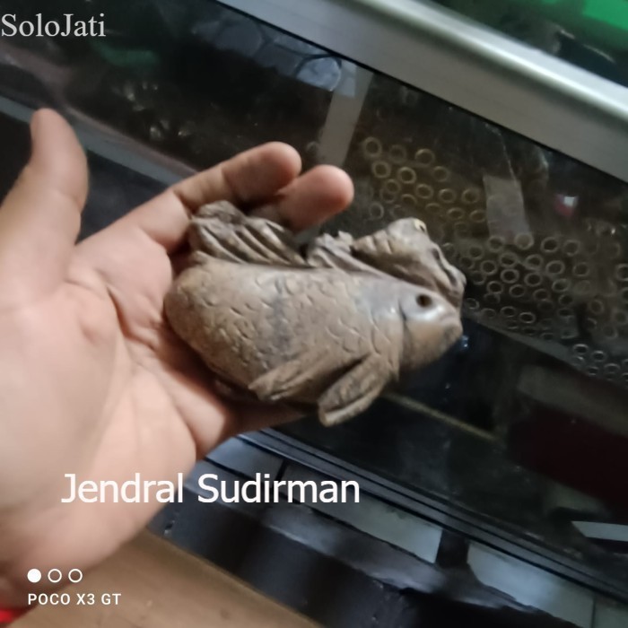 

fosil ikan ori Murah Meriah JD61 murah