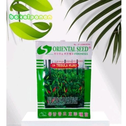 benih cabai rawit Oriental Seed Trisula Hijau 10gr