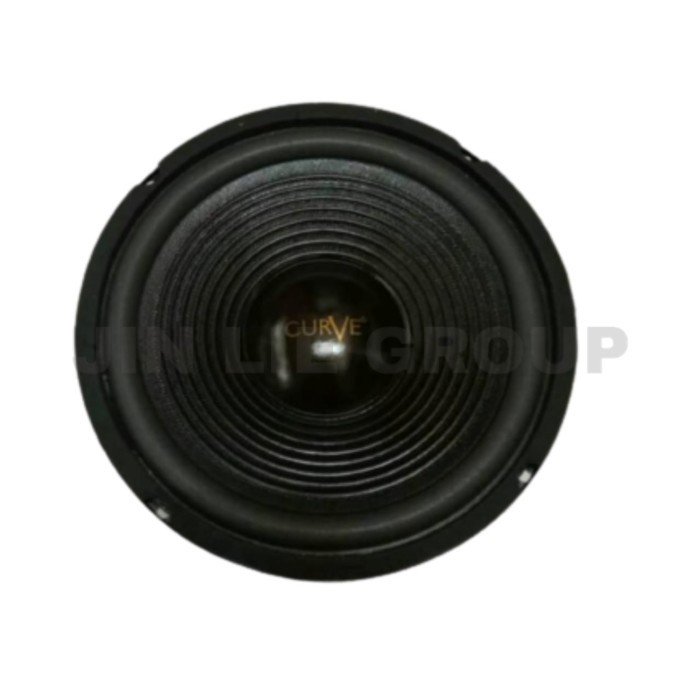 SPEAKER CURVE WOOFER 10 INCH 300 WATT