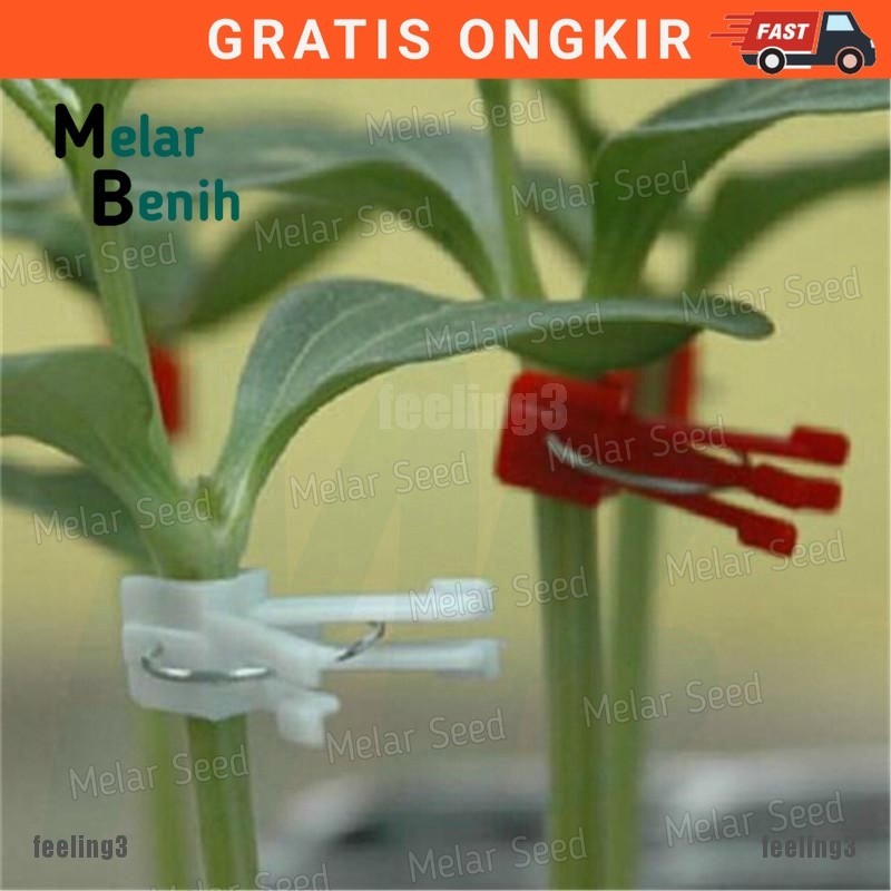 Melar Seed Grafting Clip Penjepit Tanaman Cangkok Tanaman, Penahan Cangkok, Model Jepitan Lingkar