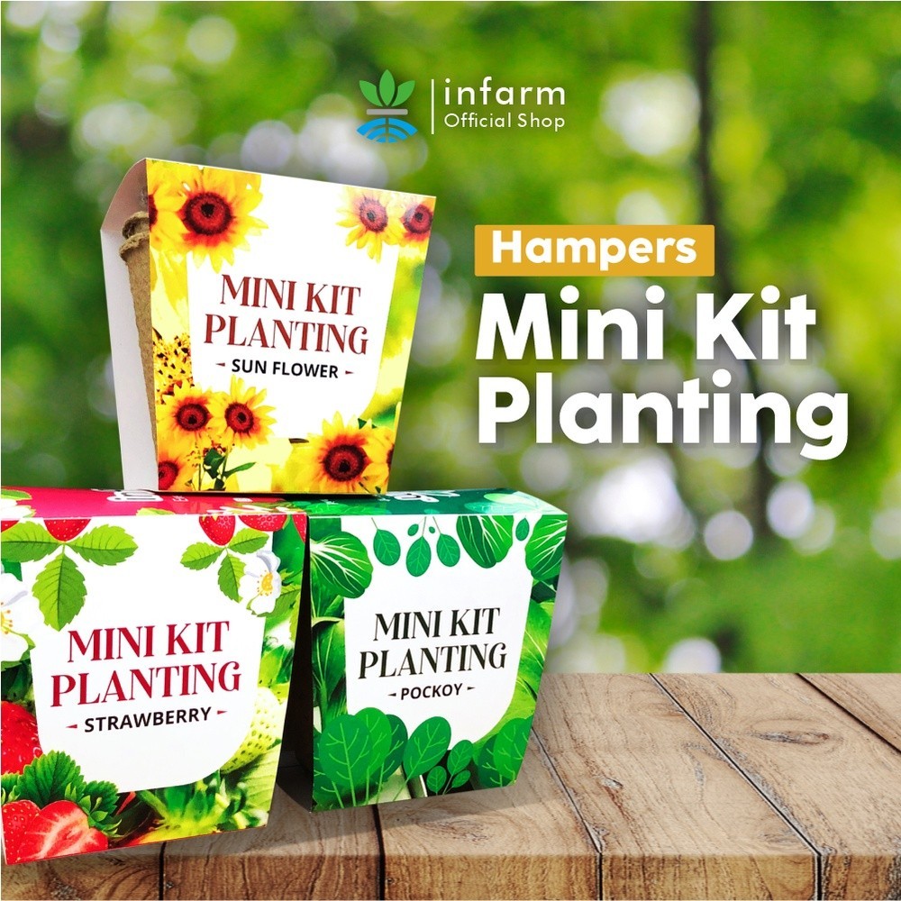 INFARM - Paket Kebun Anak Paket Mini Kit Planting Berkebun Kangkung, Pokcoy, Strawberry, Cabe, Selad