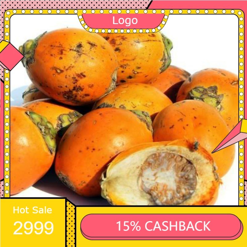 

Buah pinang jambe tua segar 500gram