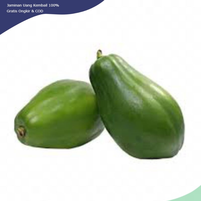 

pepaya muda 1 pcs