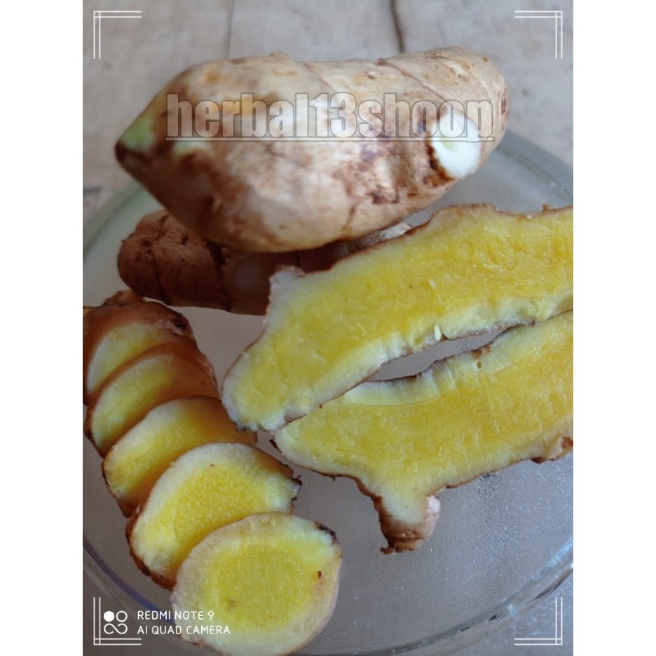 

fromo jual murah temu mangga bukan temu putih 1kg curcuma mangga segar - 500 gram