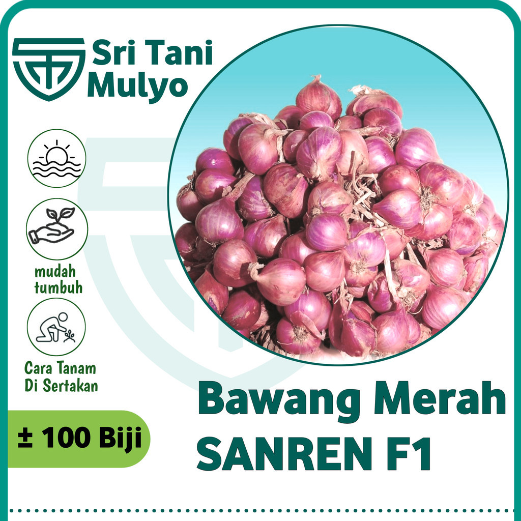 Panah Merah 100 Biji - Benih Bawang Merah SANREN F1 - Bibit Sayuran - Benih Sayuran