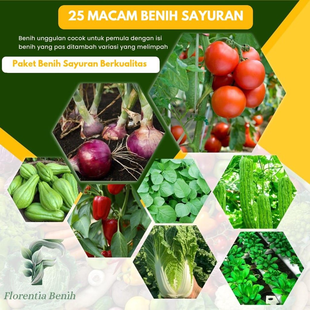 1 PAKET 25 MACAM JENIS BENIH SAYUR SAYURAN SIAP TANAM MUDAH TUMBUH LENGKAP