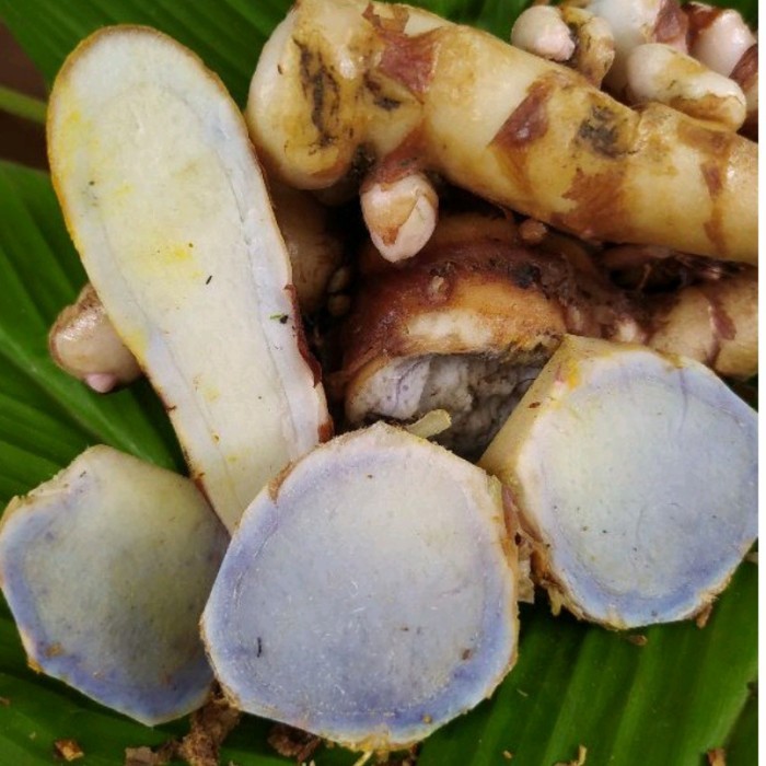 

500gr temu ireng segar/ temu hitam segar alami - 500 gram