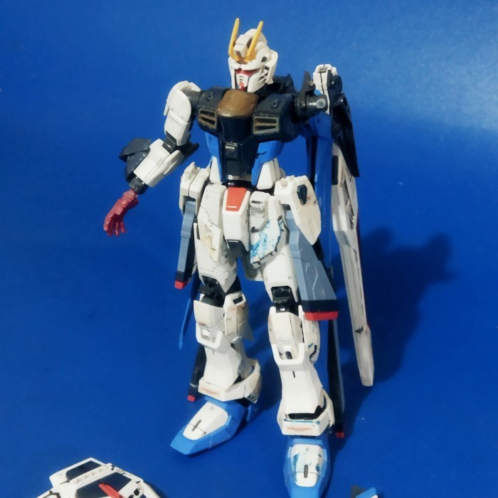 Junk RG Freedom Bandai