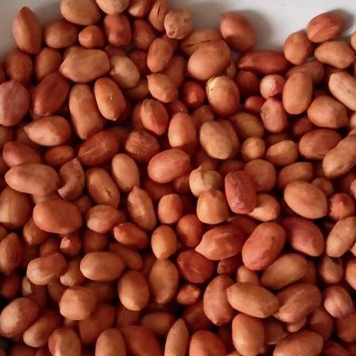 

Kacang Tanah Sangrai Mateng 100 Gram Tidak Digoreng Di Roasting Utuh