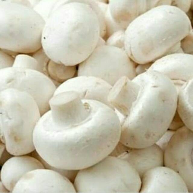 

Jamur Kancing Segar Champignon White Button Mushroom Grade A 1 kg