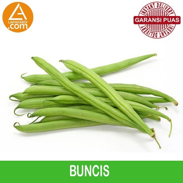 

Buncis 250gr Sayur Segar Garansi Termurah