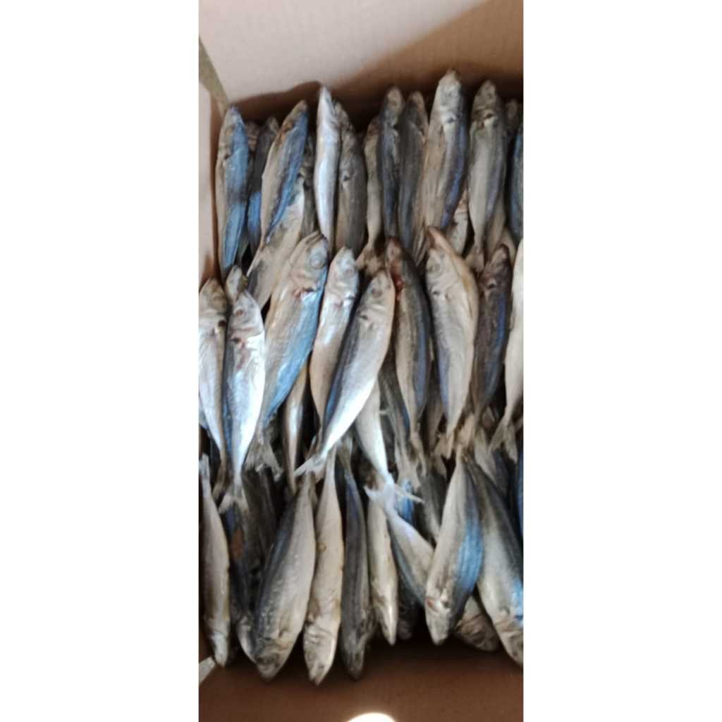 

ikan asin gurih 1 kg/ikan asin klotok K2/ikan asin layang termurah best seller