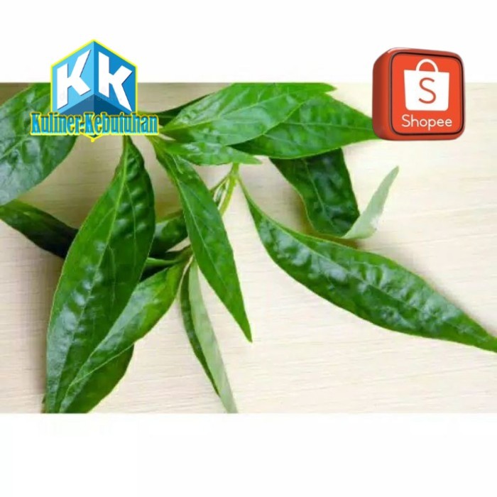 

Daun sambiloto segar 500gram daun organik