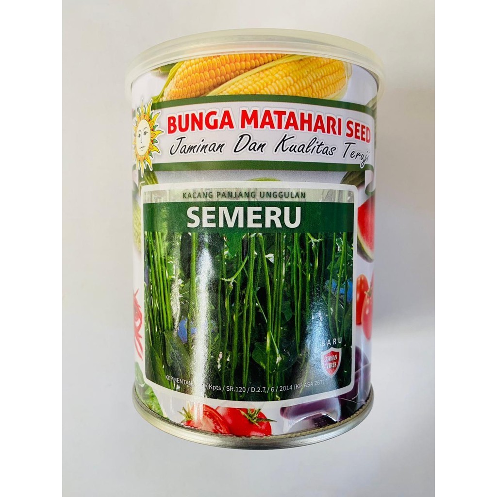 Benih kacang panjang SEMERU isi 500gr dari BUNGA MATAHARI SEED