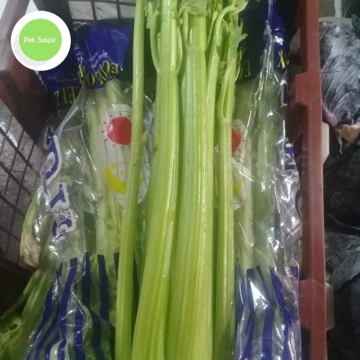 

celery stick / seledri stick segar 1 kg