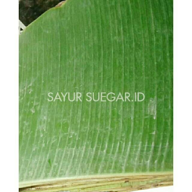 

Daun pisang batu (tua) /1 lepit/ 1kg