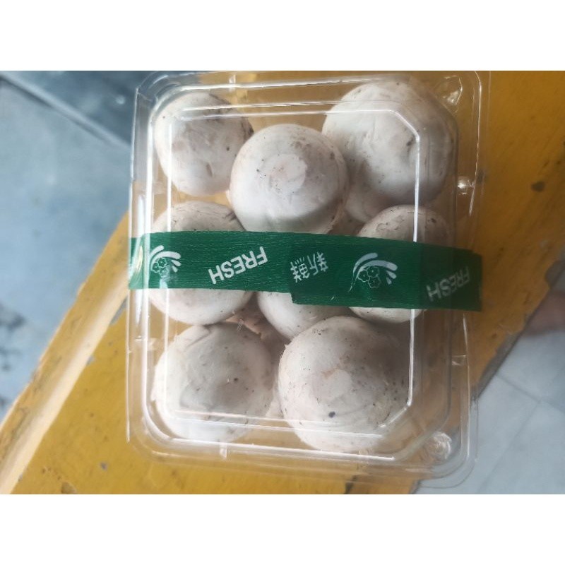 

Jamur Champignon / Kancing Fresh