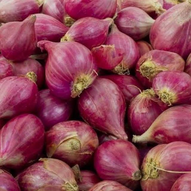 

[[GROSIR]] 1 KG Bawang Merah Brebes Segar Murah