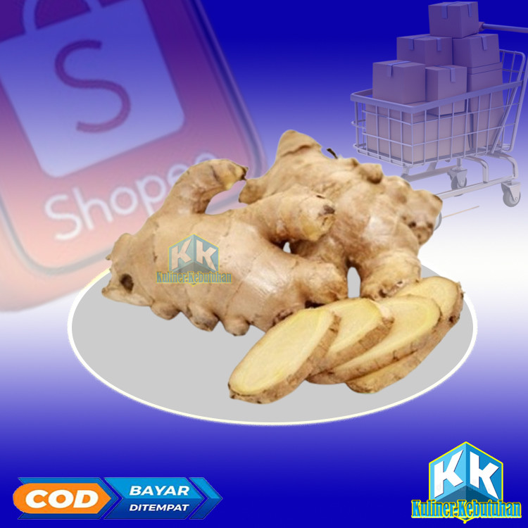 

JAHE GAJAH ORGANIK BSP FARM 200GR