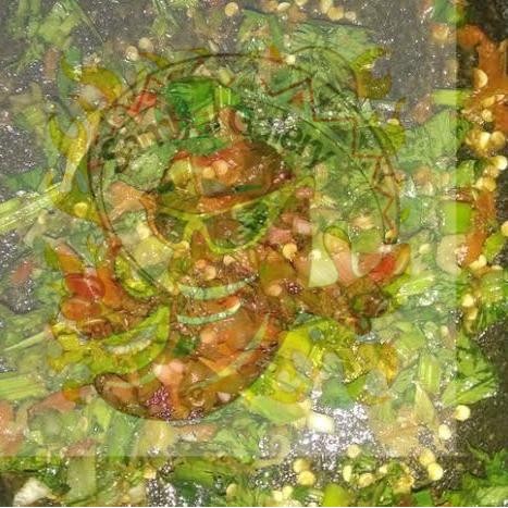 

Sambal daun seledri Pedas Level sambal