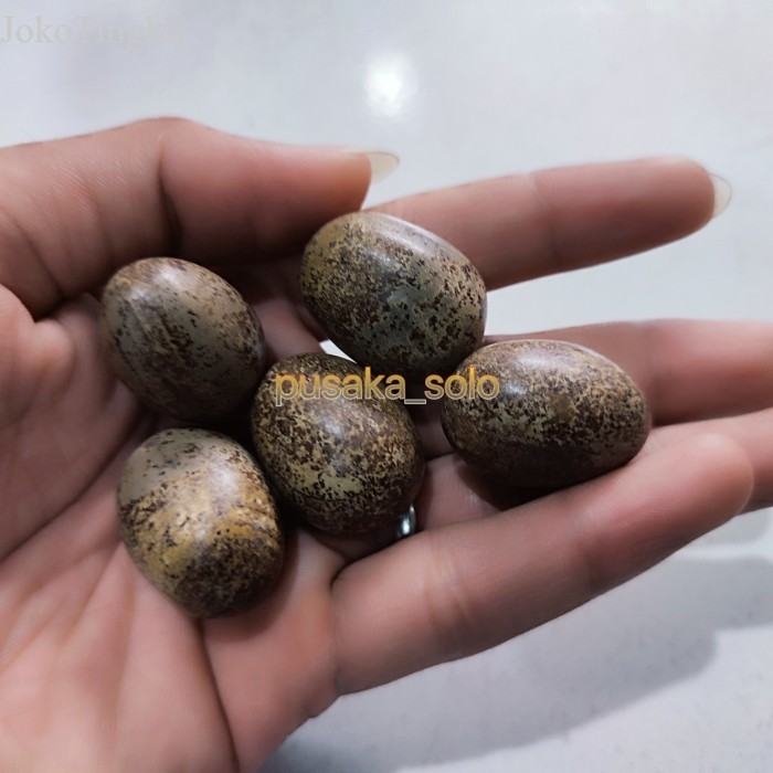 

FOSIL PUSAKA TELUR PUYUH ASLI TUA PERBIJI antik