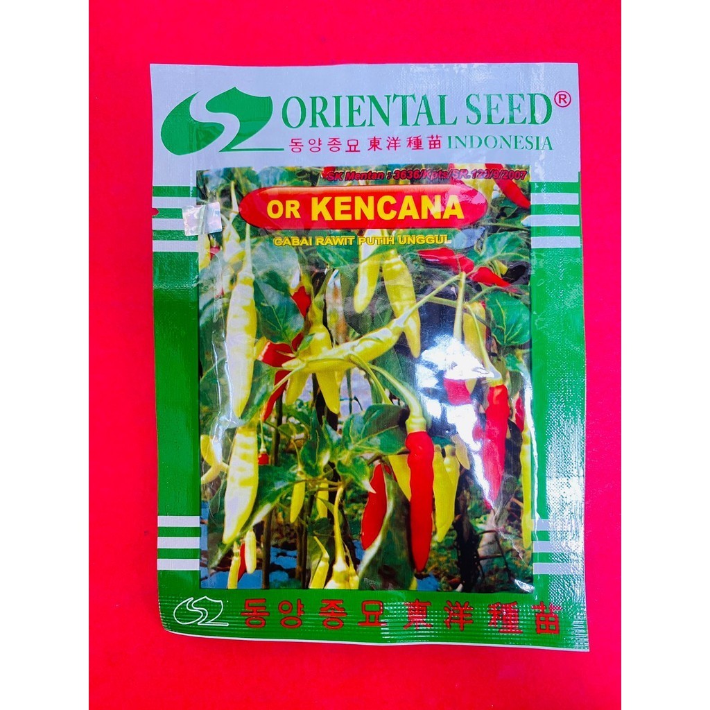 Terlaris!! Benih cabai rawit putih unggul or KENCANA isi 10gr dari ORIENTAL SEED