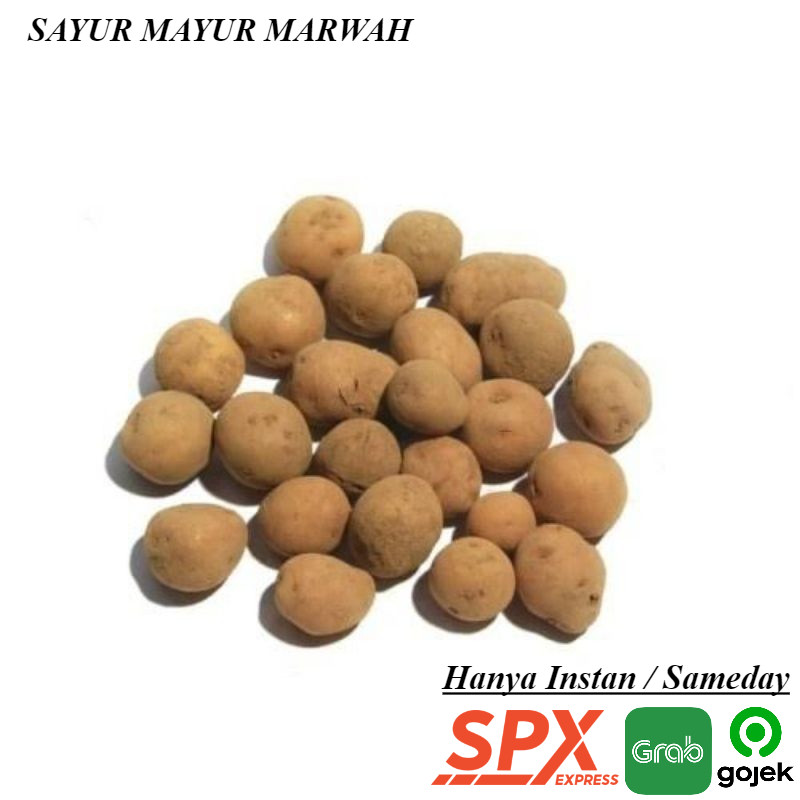 

Grosir 500 gram Kentang Fresh Murah