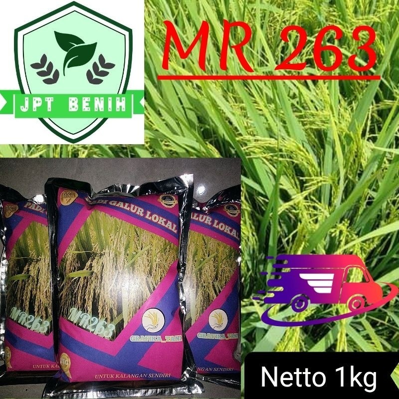 benih padi mr 263 1kg