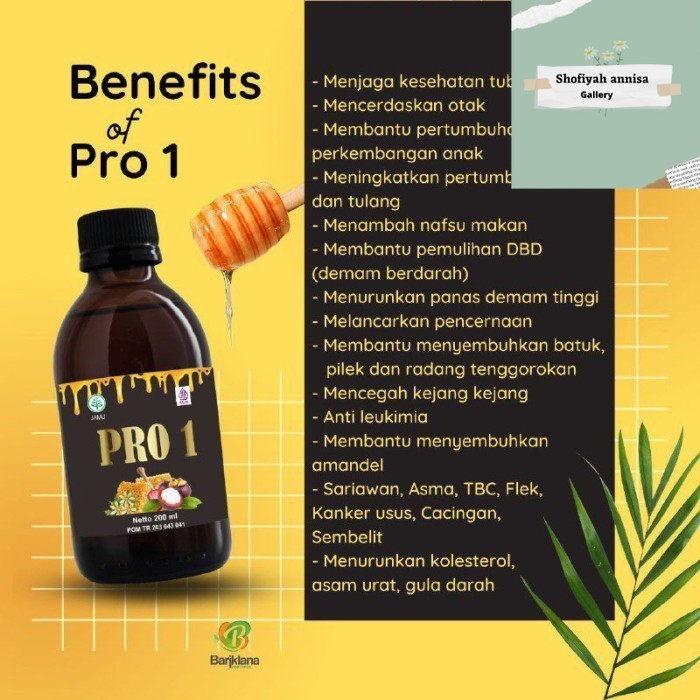 

MADU PRO 1 HERBAL MADU ALAMI KULIT MANGGIS PROPOLIS AMAN BPOM & HALAL