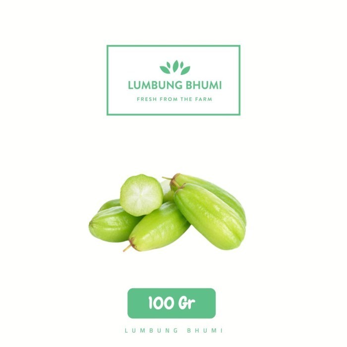 

Belimbing Wuluh Sayur 100 Gr - Lumbung Bhumi