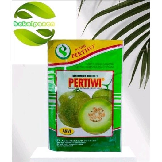 Pertiwi anvi benih bibit melon hibrida 13 gram