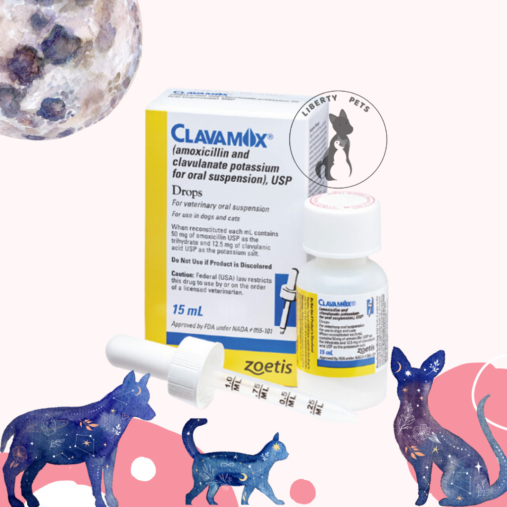 Clavamox Drops Oral Suspension Antibiotik Kucing Anjing 15ml