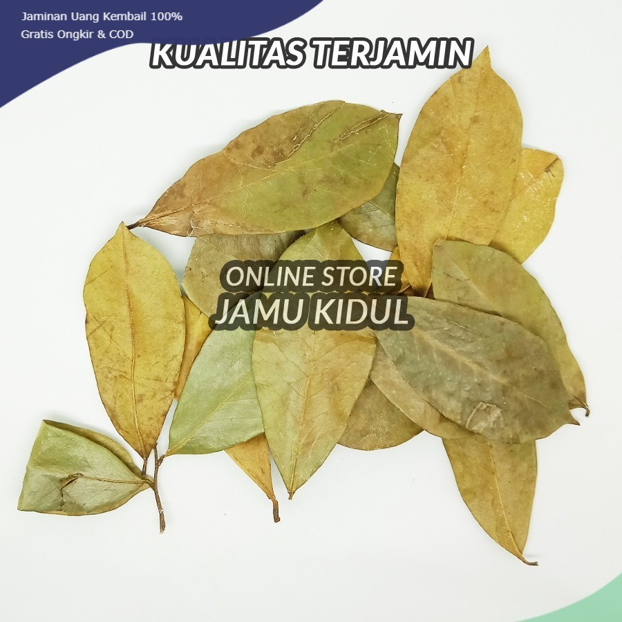 

Daun Sirsak Kering 1kg Asli - Lebih Berkhasiat