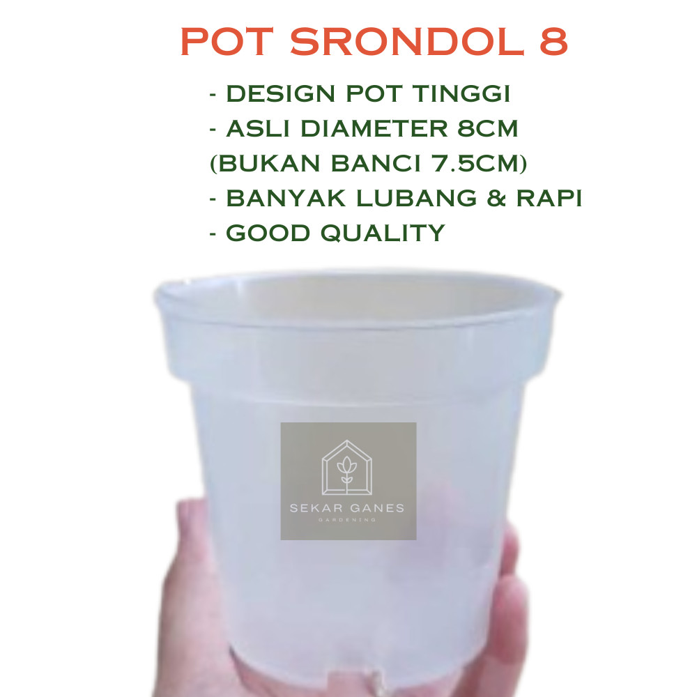 PAKET (5PCS) Pot SRONDOL 8 cm BENING TRANSPARAN Pot Polos Basic Tinggi 8cm Bunga Tanaman Pot Kecil K