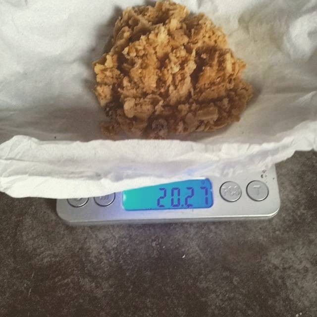 

Telur bsf murah pergram termurah bergaransi