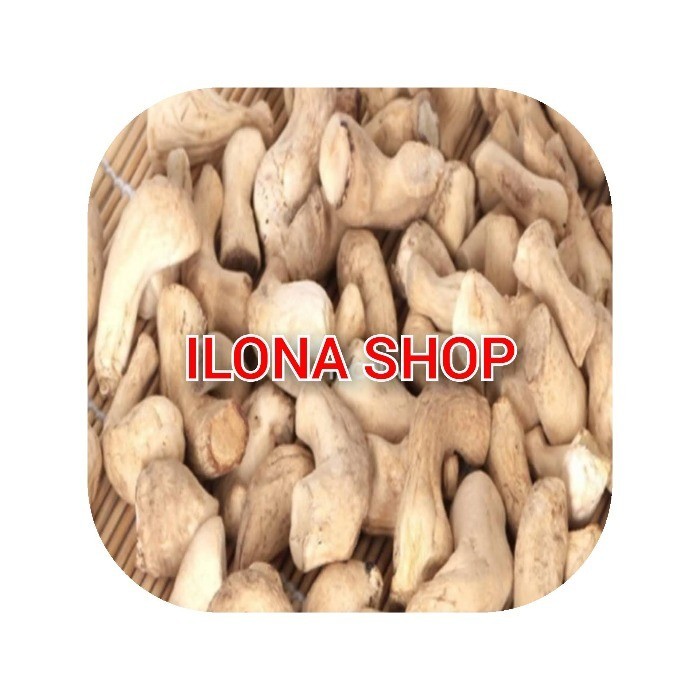 

KAKI JAMUR HIOKO 100 GR / KAKI JAMUR KERING 100GR / KAKI JAMUR SHITAKE KERING 100 GRAM