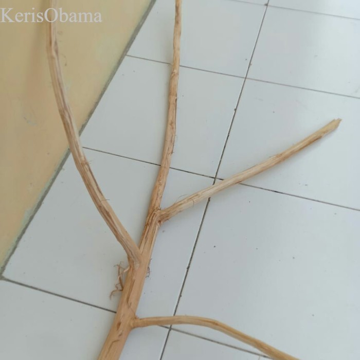 

ranting kayu jati cabang 150 cm - ranting kayu macrame murah