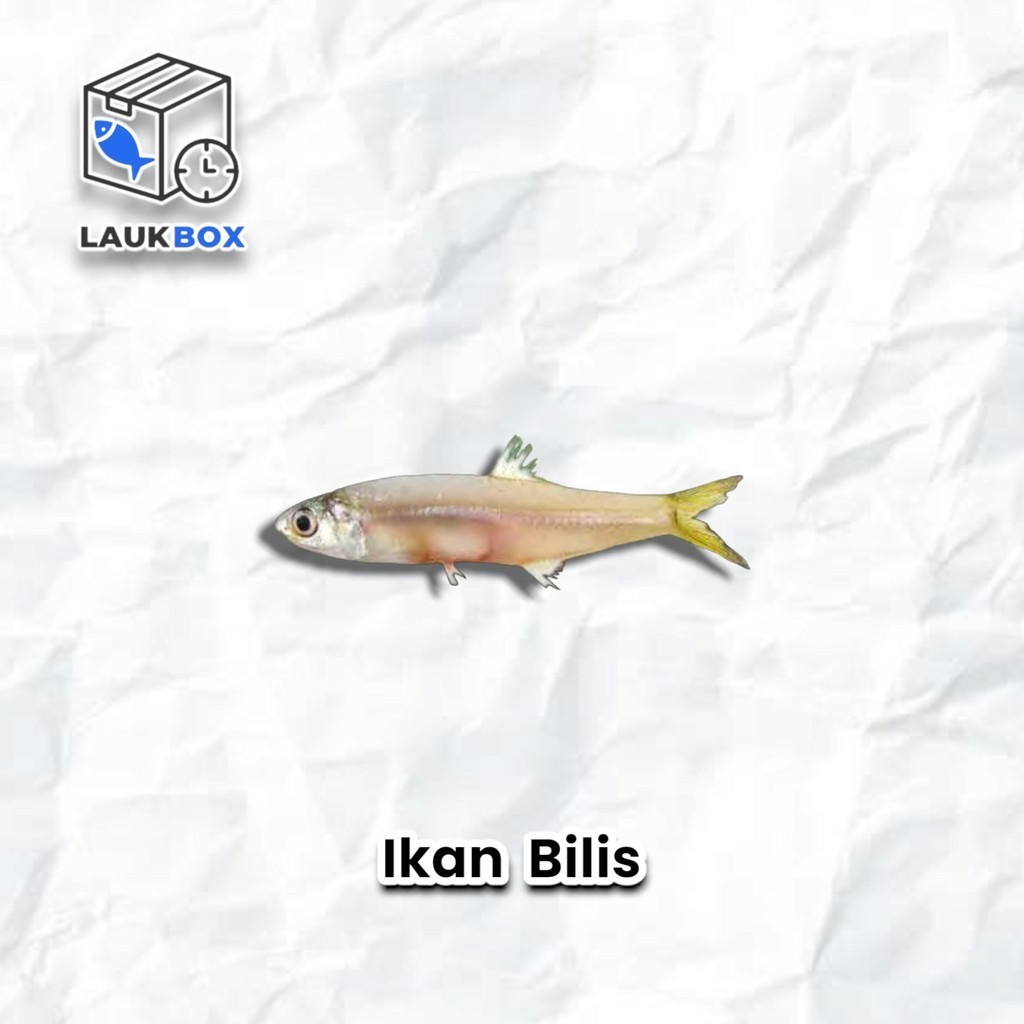 

Ikan Bilis (Teri Basah) - SAYUR SEGAR MIMI PALEMBANG