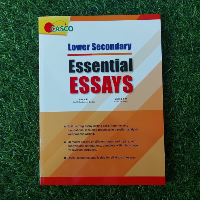 

Lower Secondary Essential Essays