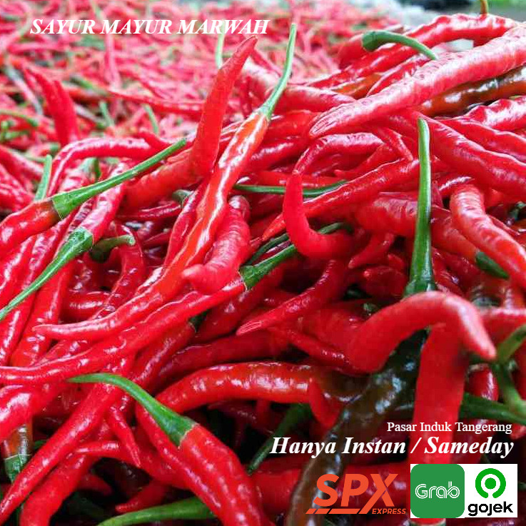 

Cabe Keriting Merah 1 Kg - Cabai Segar Murah