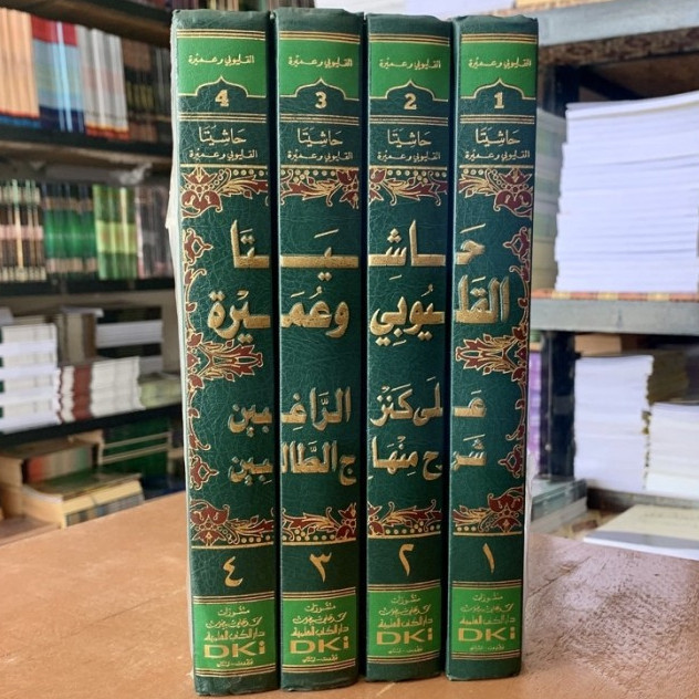 hasyiatana qulyubi wa umairoh dki beirut حاشيتنا القليوبي وعميرة