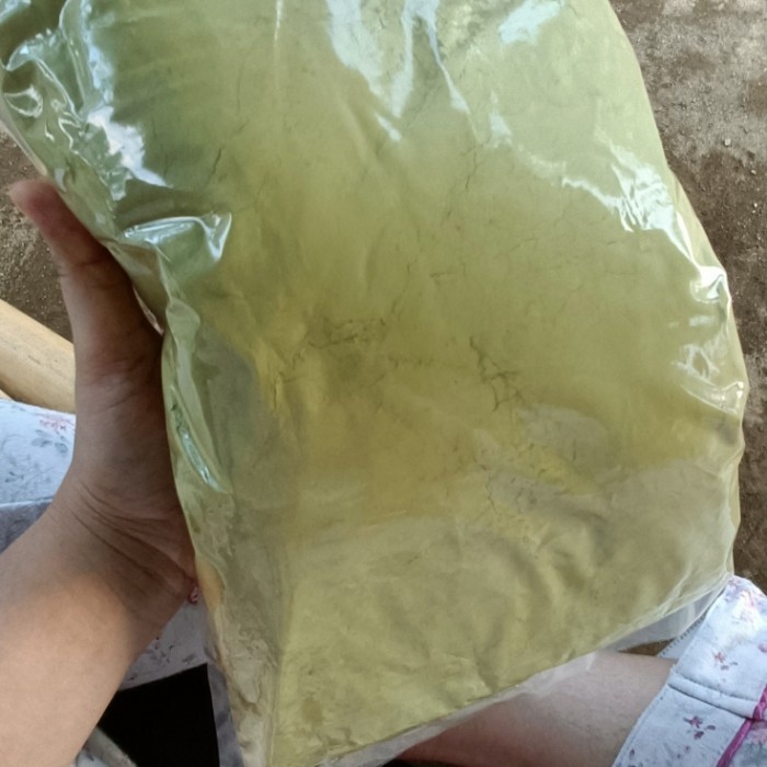 

Bubuk Daun Sidaguri 1 Kg Organik Superfood Multivitamin Food Grade