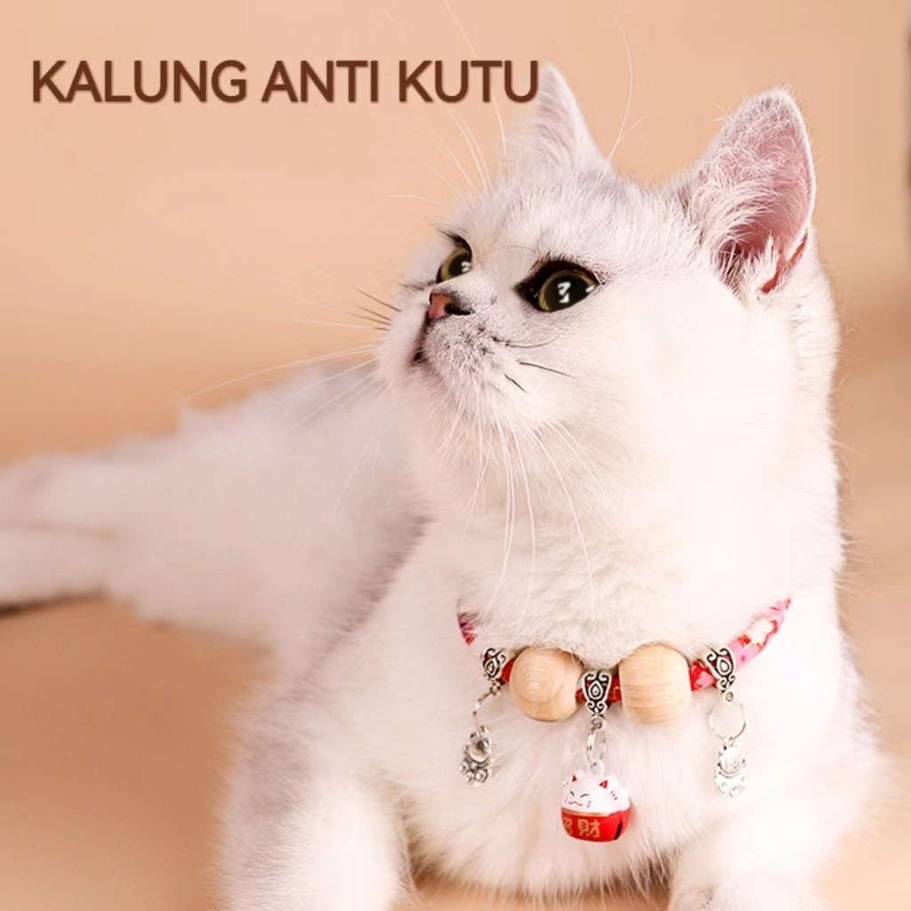 kalung kucing brkualitas bagus bisa di pake smua umur Kalung  Anti Kutu Dan Serangga Gaya Jepang  Da