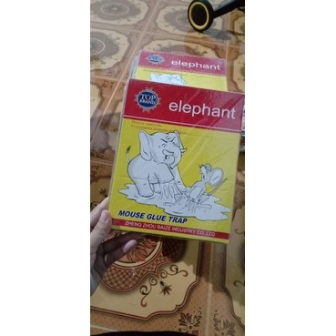 Lem tikus papan cap gajah elephant