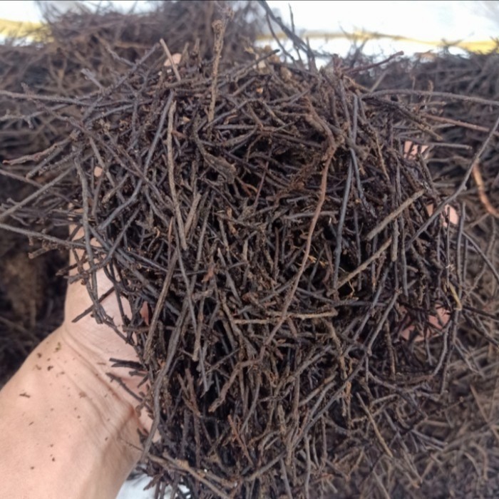 Media Tanam Akar Pakis (Cacah) Non Oven