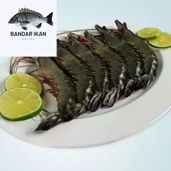 

Udang Windu Size 60/70 Ekor Udang Segar Fresh Dan Berkualitas