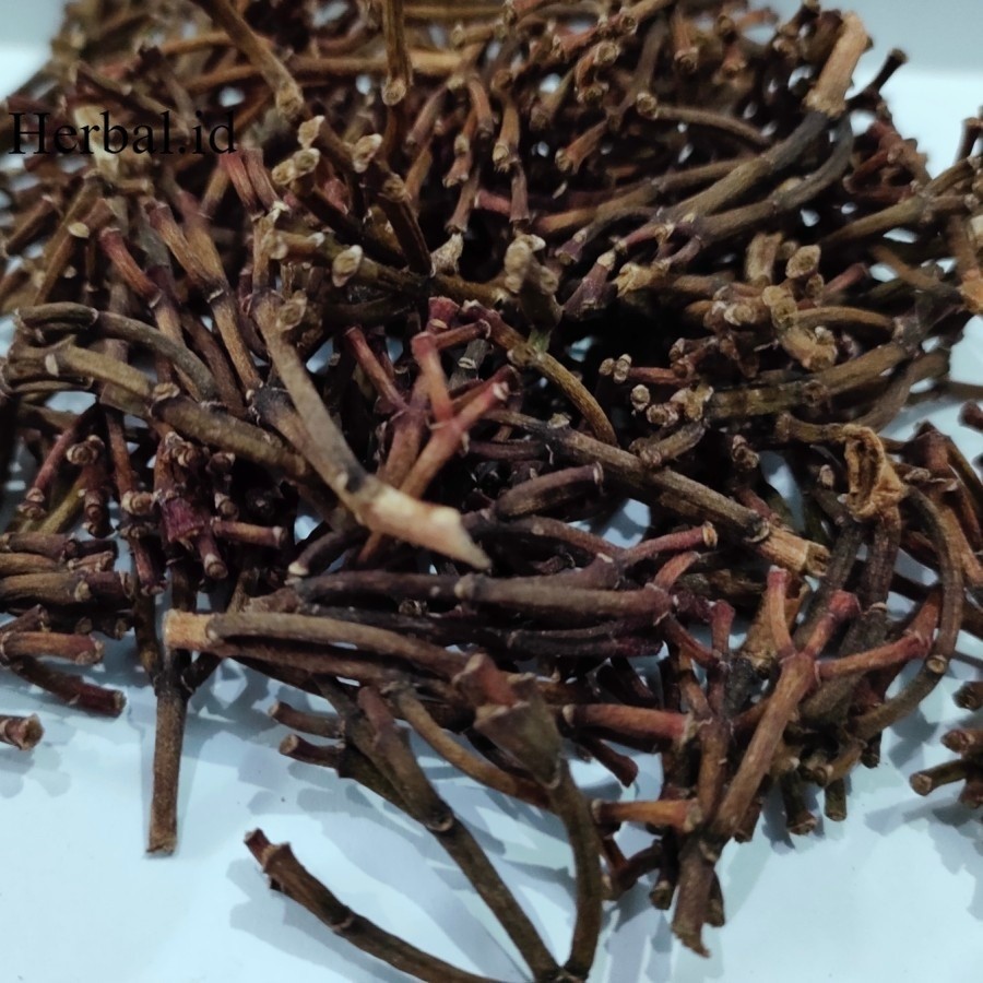 

gagang cengkeh premium murni super kering 500gr terbaik gagang cengkeh premium