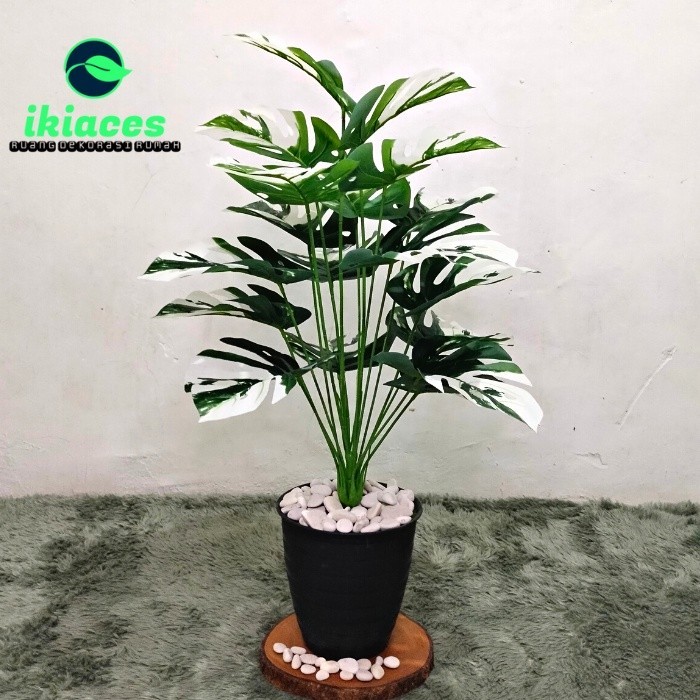 PROMO POHON MONSTERA JUMBO ARTIFICIAL DAUN MONSTERA PLASTIK POT MONSTERA JUMBO CORAK PUTIH DEKORASI